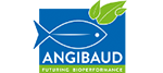 Angibaud